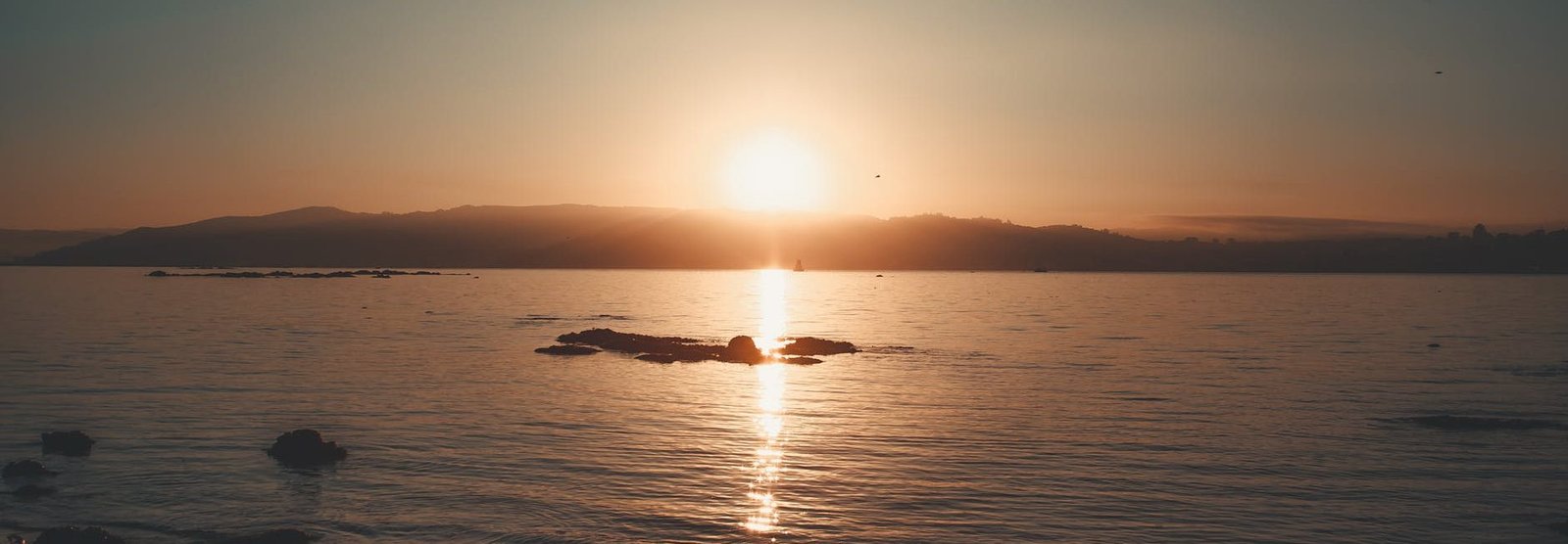 pexels-photo-3064495 pexels-photo-3064495