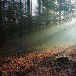 Een vakantie op de Veluwe